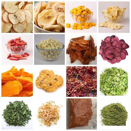 Fruit Dehydration Plant